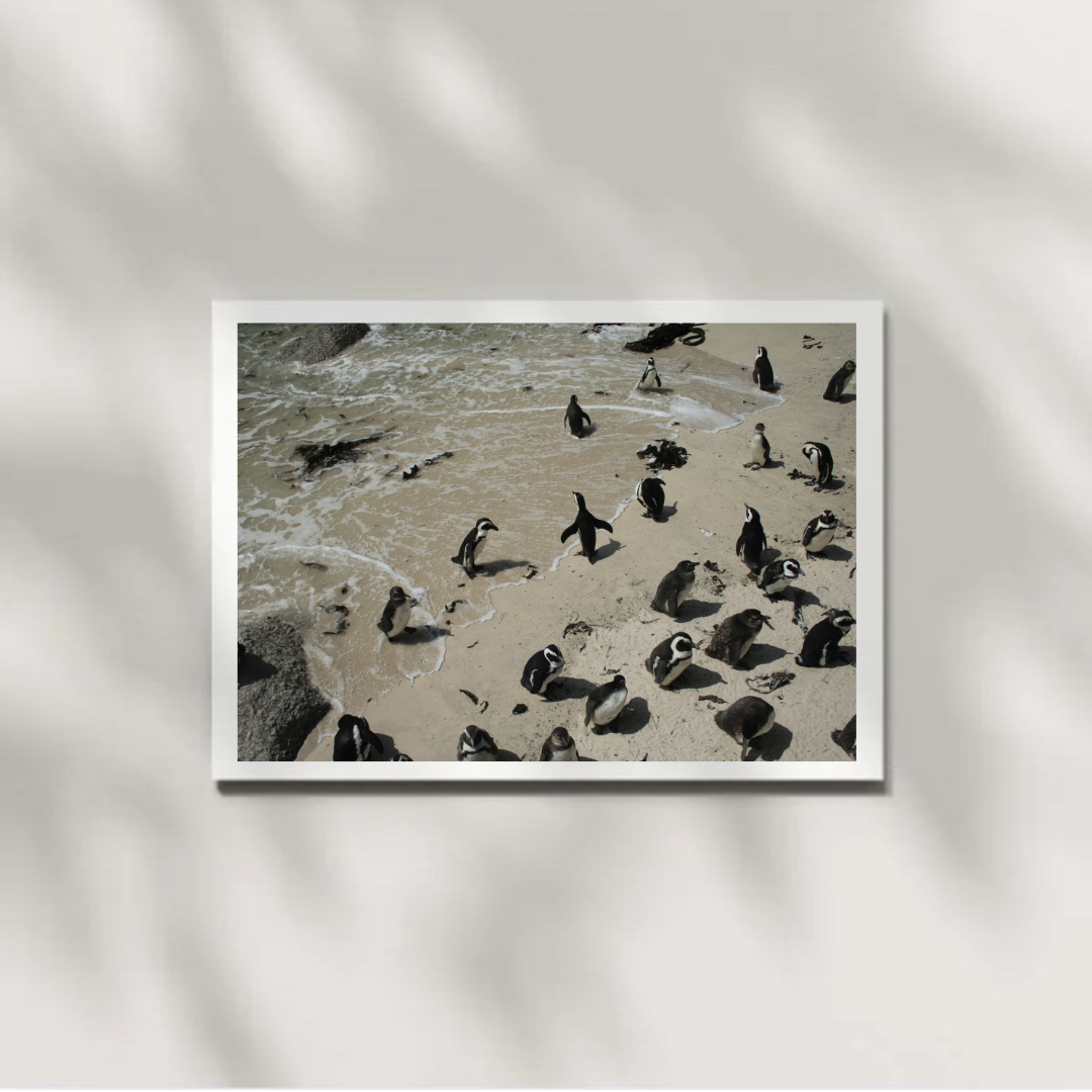 Saltborne 3 Digital Download