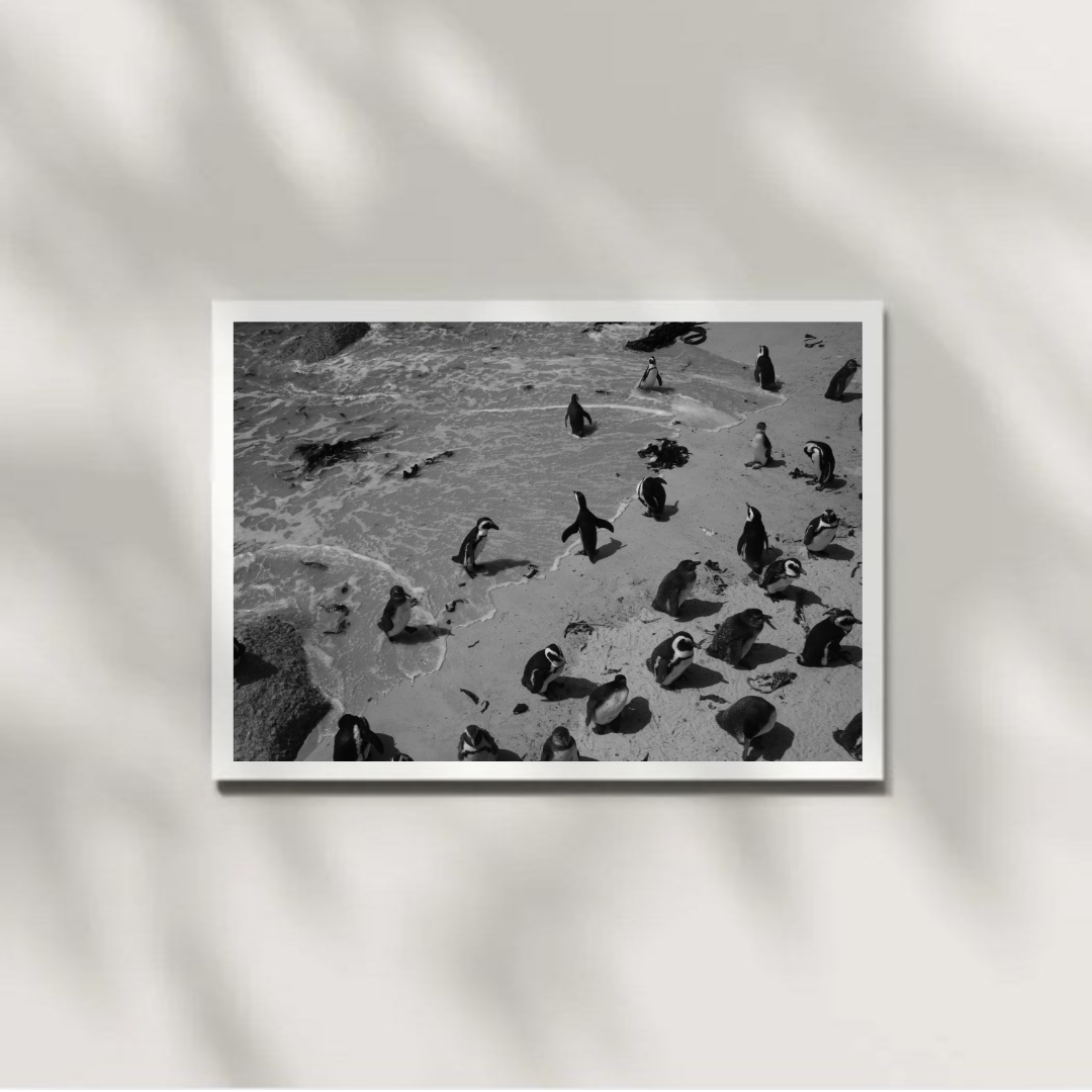 Saltborne 3 B/W Digital Download