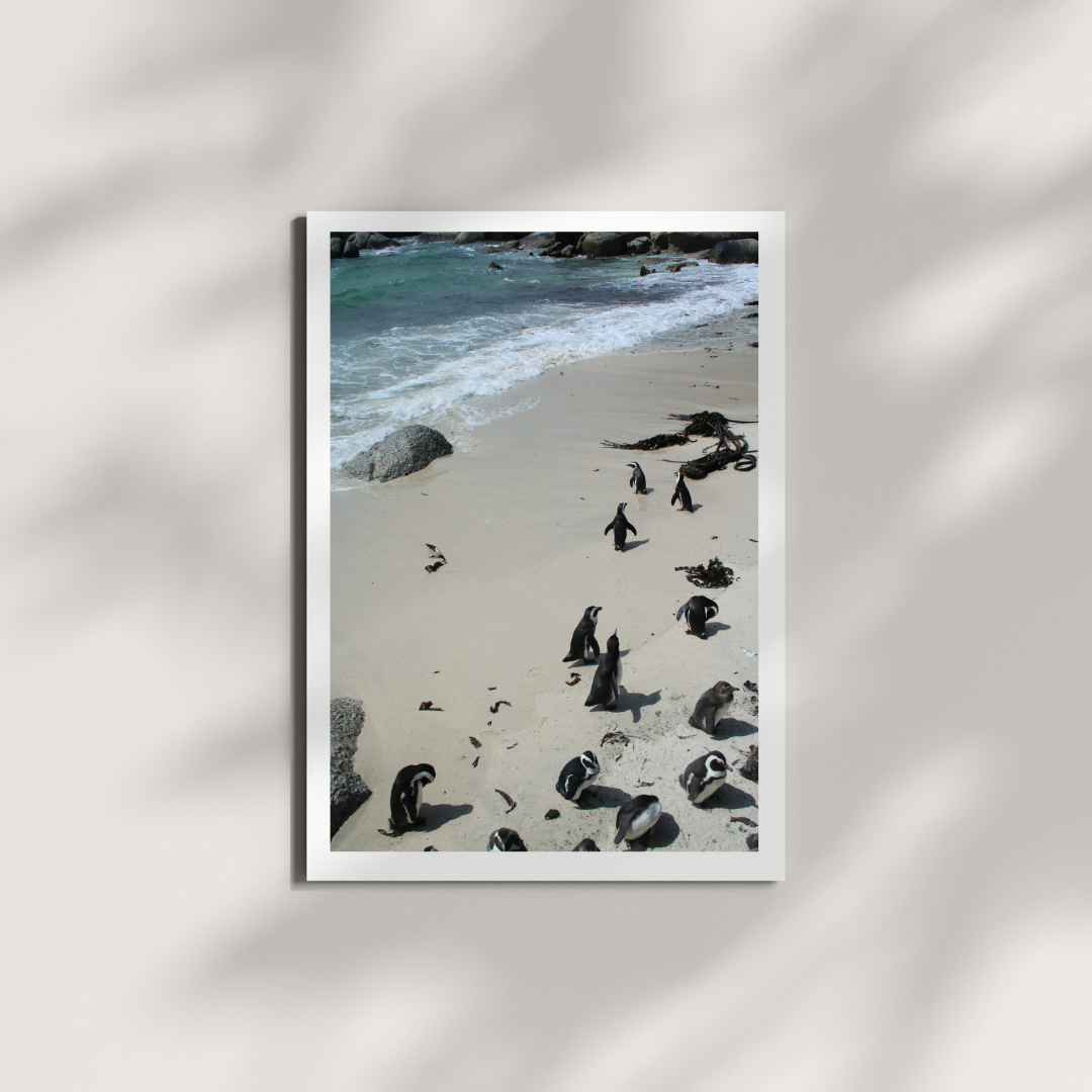 Saltborne 4 Digital Download