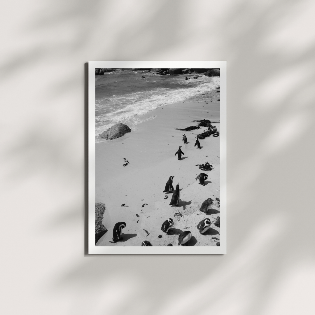 Saltborne 4 B/W Digital Download