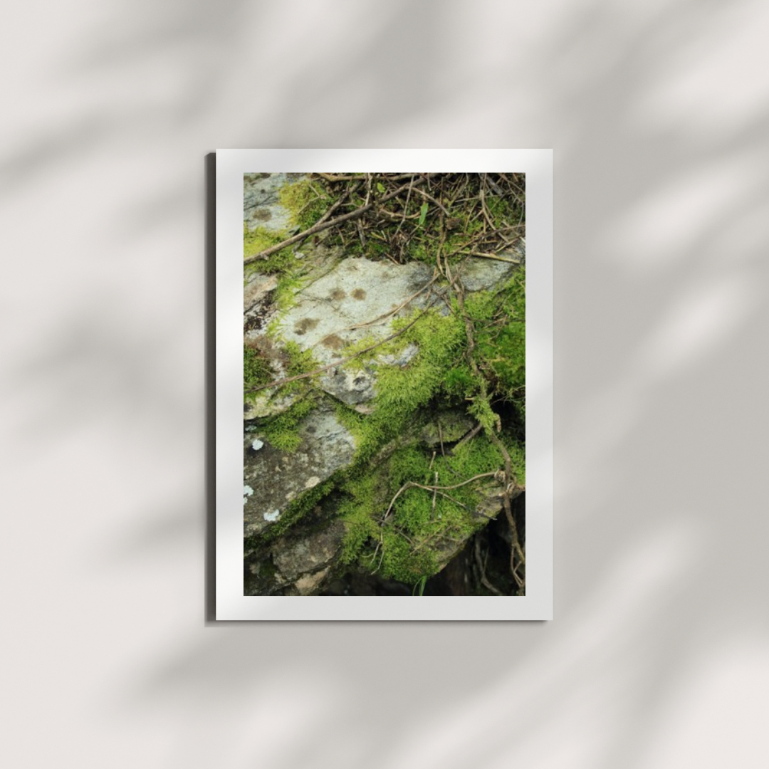 Moss Digital Download