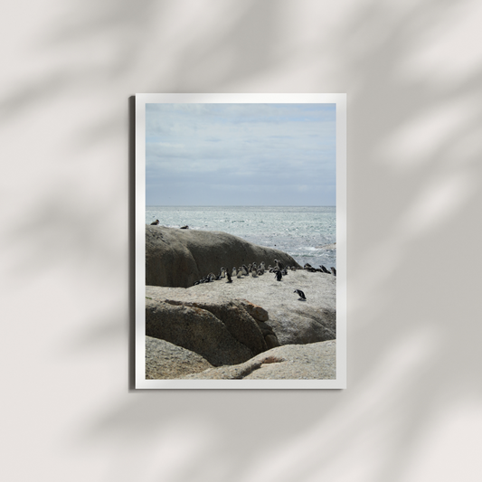 Saltborne 1 Digital Download