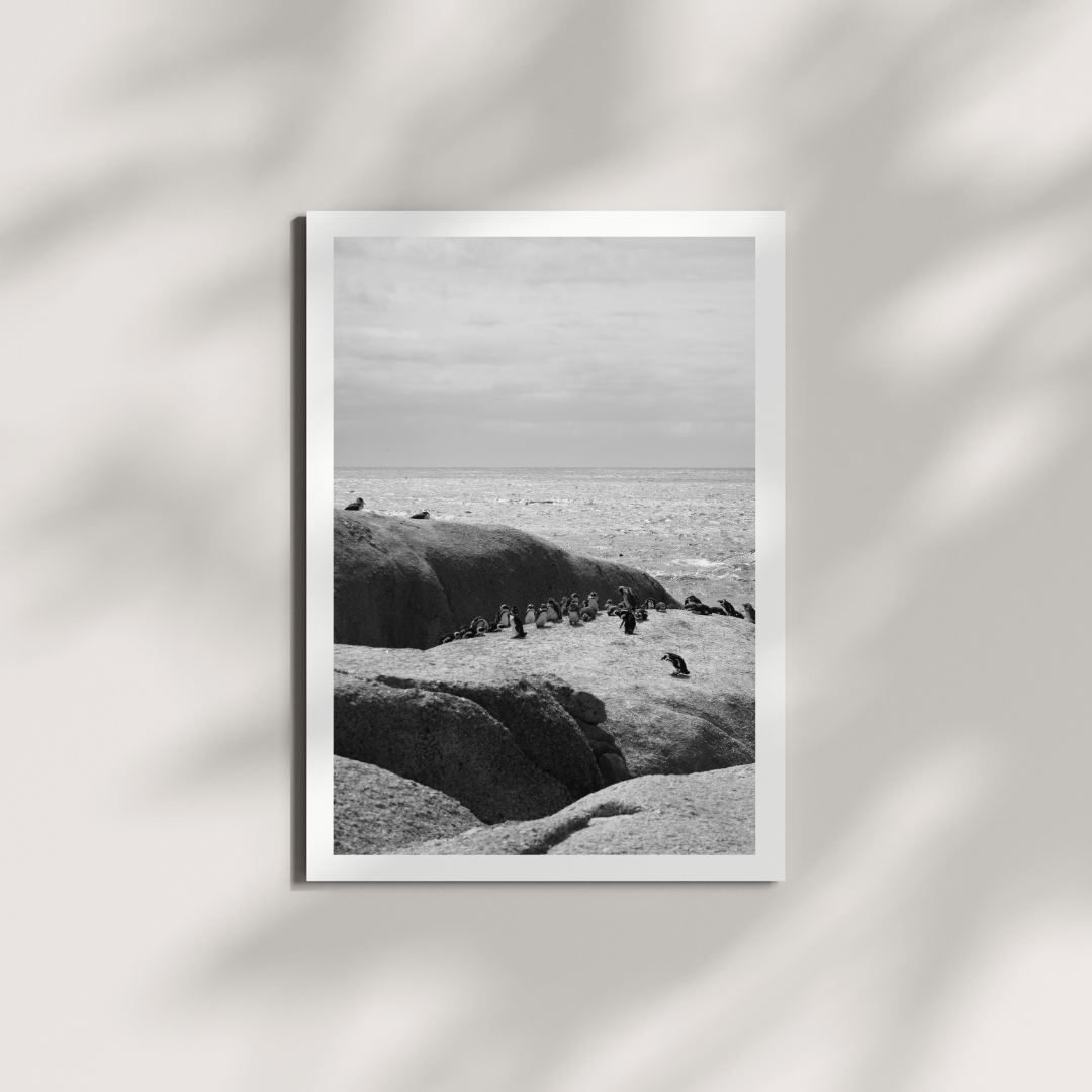 Saltborne 1 B/W Digital Download