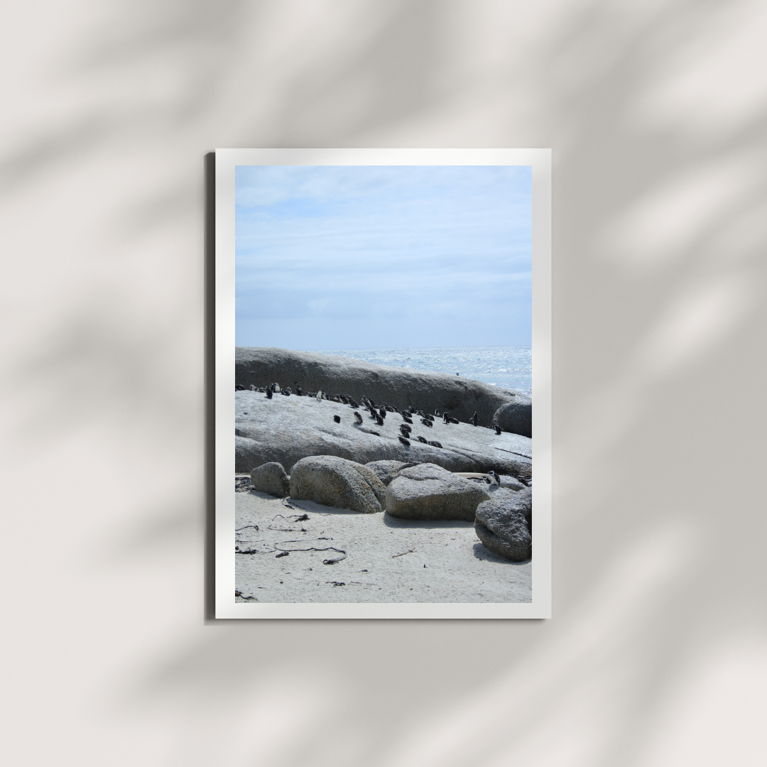 Saltborne 2 Digital Download