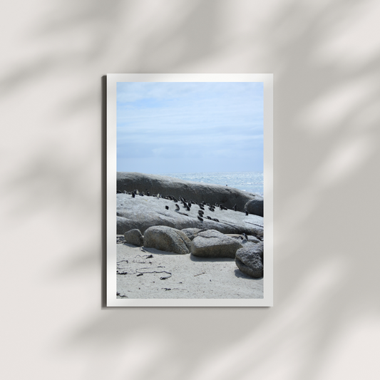 Saltborne 2 Digital Download