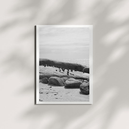 Saltborne 2 B/W Digital Download