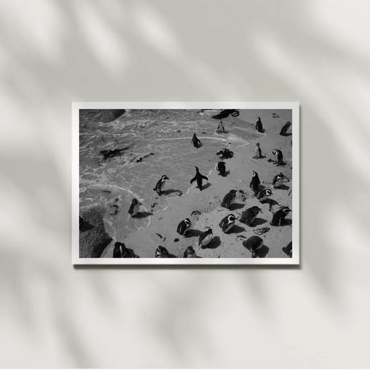 Saltborne 3 B/W Digital Download