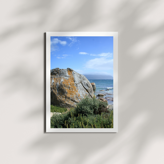 Tidestone Digital Download